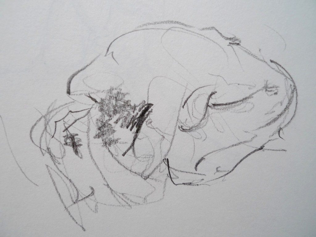 Life drawing by Ron Freeman