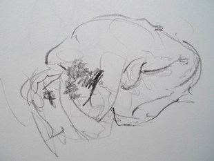 Life drawing by Ron Freeman